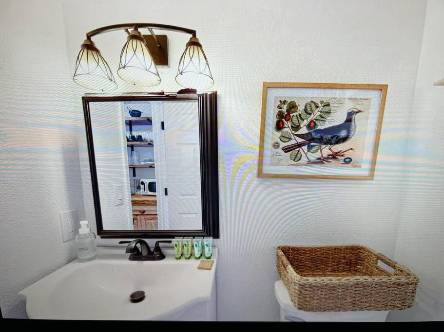 אוקהורסט New Modern Boho Apt- Close To Yosemite מראה חיצוני תמונה
